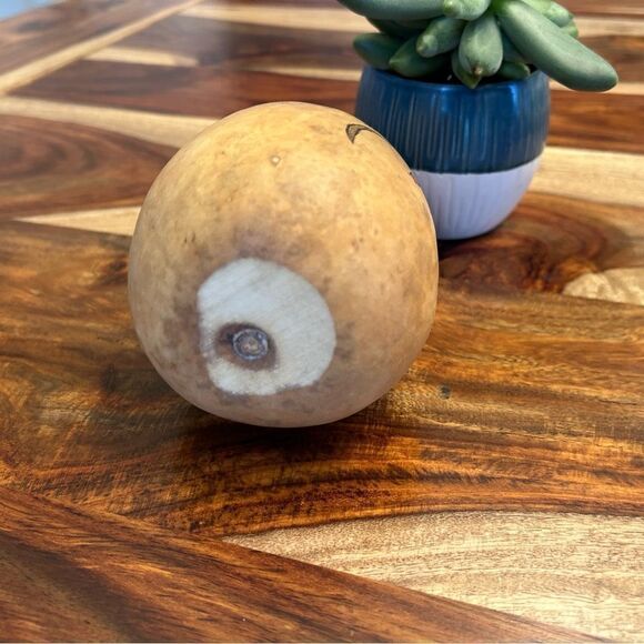 Gourd Home Decoration Custom Designed Woodburning and Painted Gourd Boho Home - Picture 10 of 10